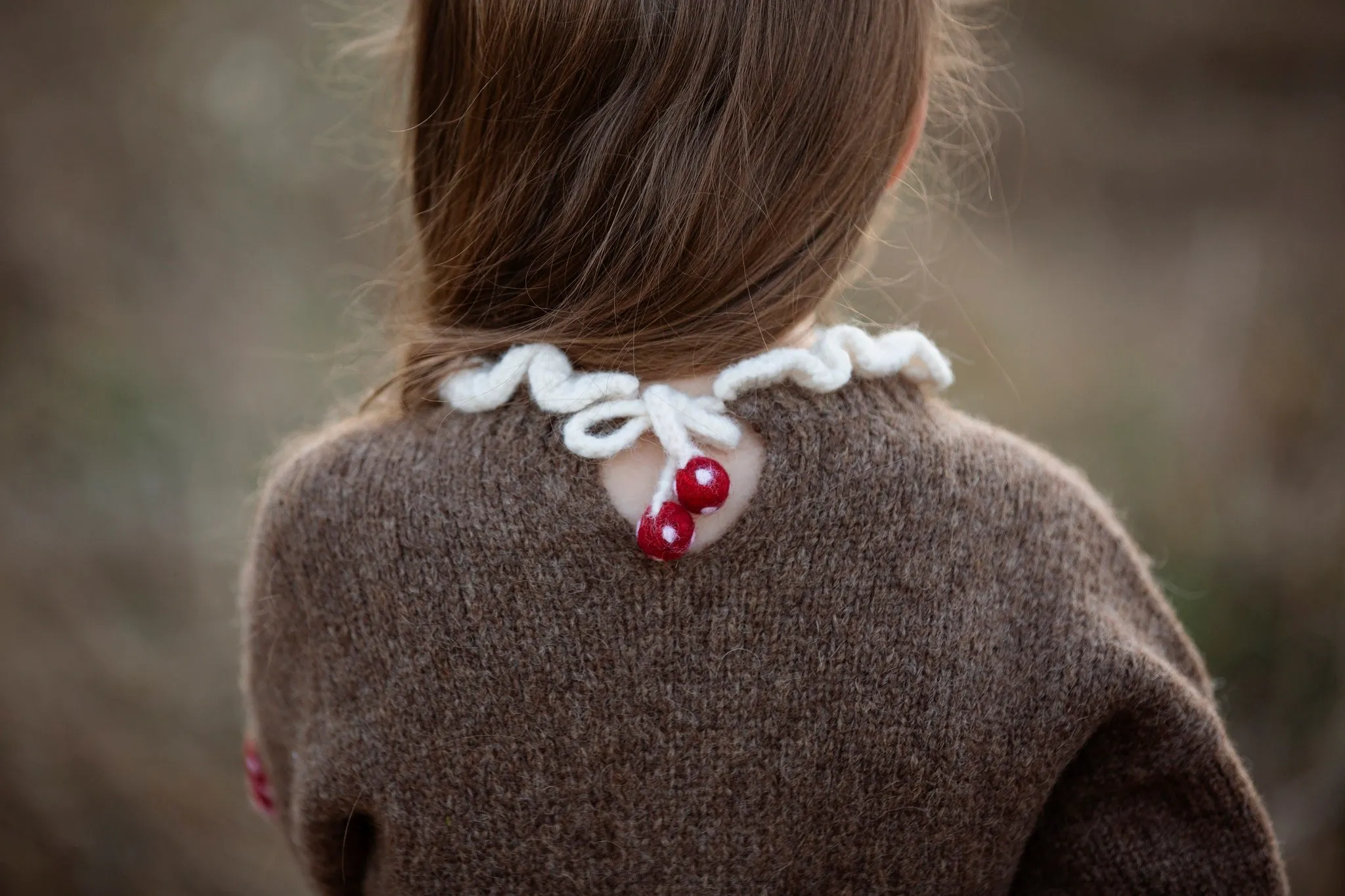 Mushrooms pullover | Brown