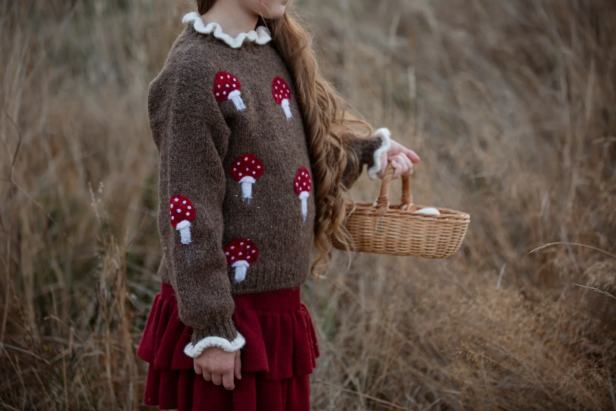 Mushrooms pullover | Brown