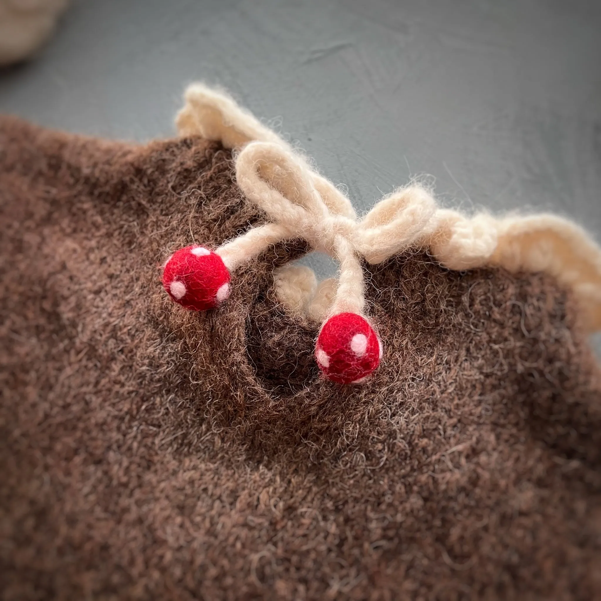 Mushrooms pullover | Brown