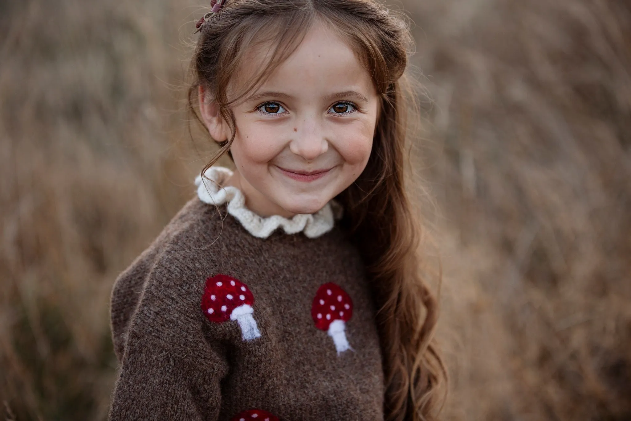Mushrooms pullover | Brown