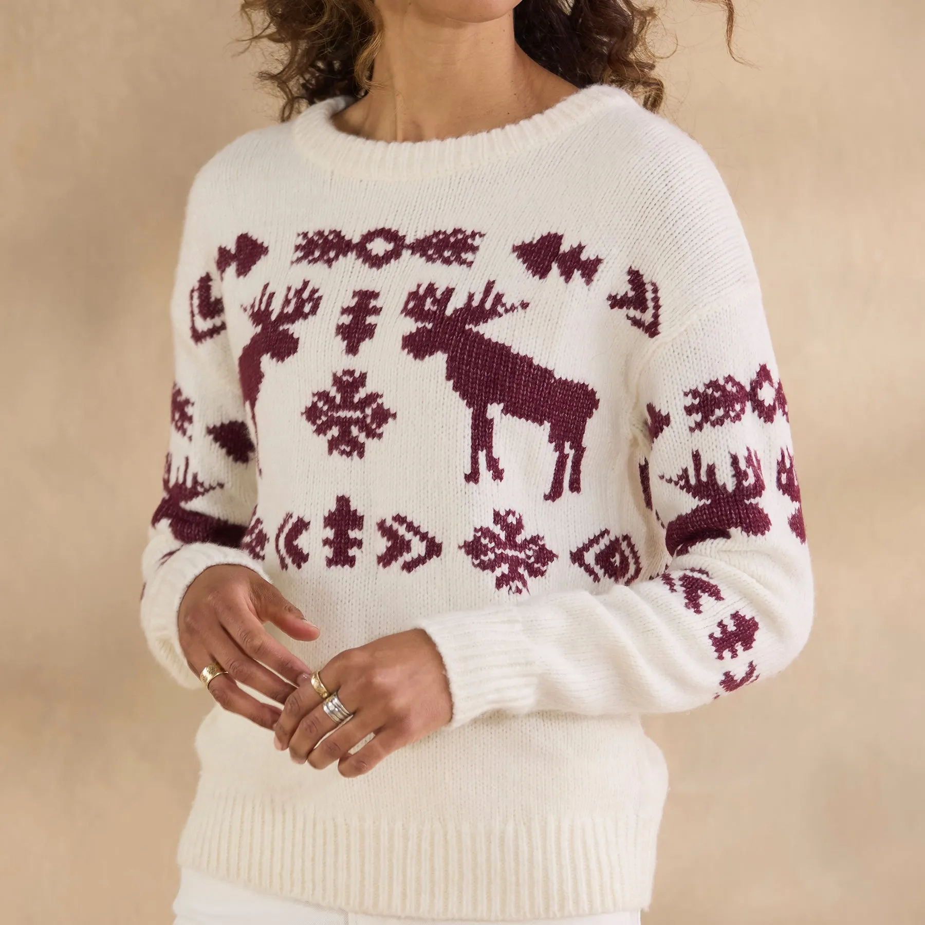 Spirited Moose Sweater